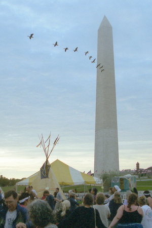 0050: Geese Honoring the Peace Village